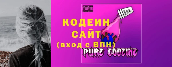 хмурый Арсеньев