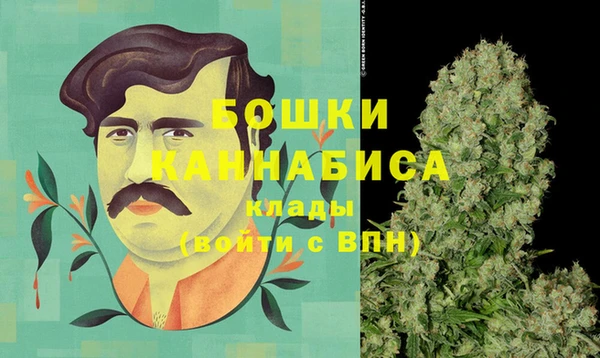 хмурый Арсеньев