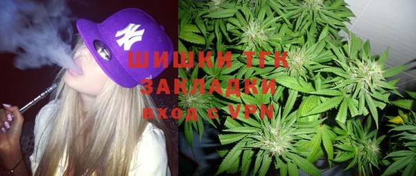 хмурый Арсеньев