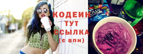хмурый Арсеньев