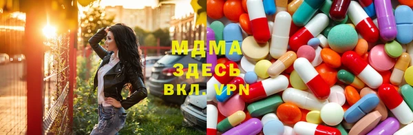хмурый Арсеньев