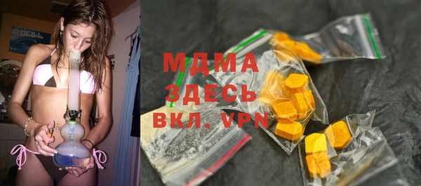 хмурый Арсеньев
