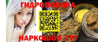СК Славгород