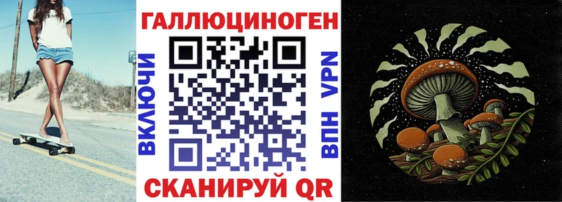 наркотики  Шатура  Псилоцибиновые грибы Magic Shrooms 