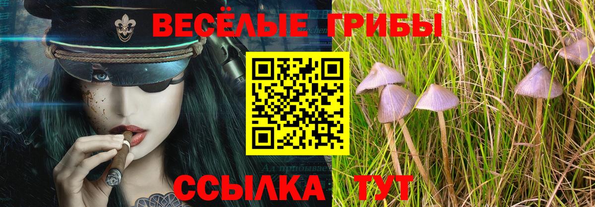 Шатура  Галлюциногенные грибы Psilocybe  цена наркотик  Вход с VPN 